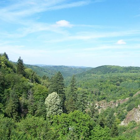 L'Hostellerie De La Vallee Gimel-les-Cascades Εξωτερικό φωτογραφία